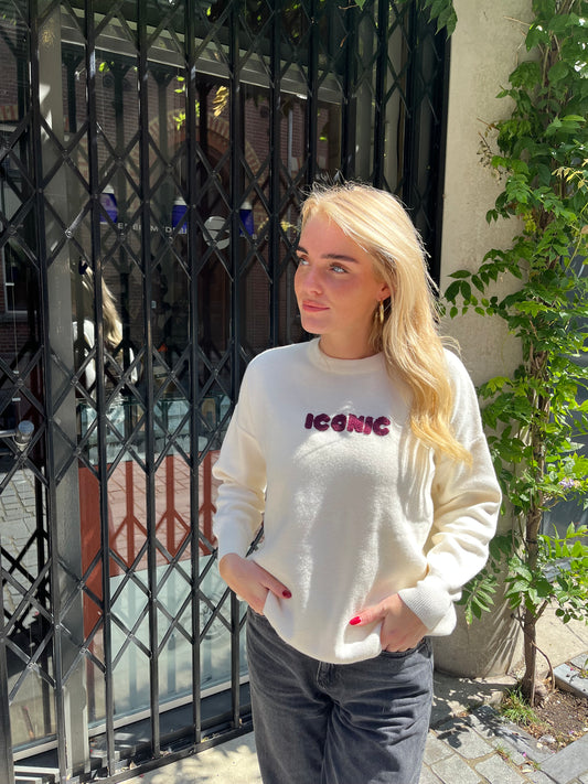 Iconic sweater